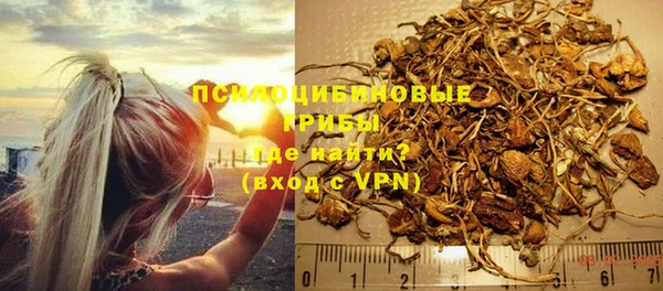 тгк Алзамай
