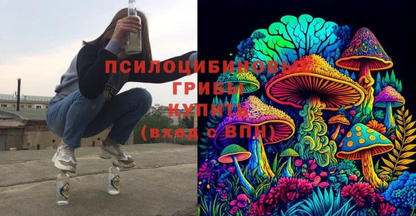 дживик Алексин