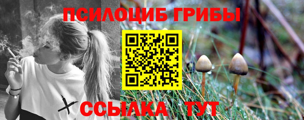 Галлюциногенные грибы ЛСД  Галлюциногенные грибы MAGIC MUSHROOMS  Дубна  Вход с VPN 