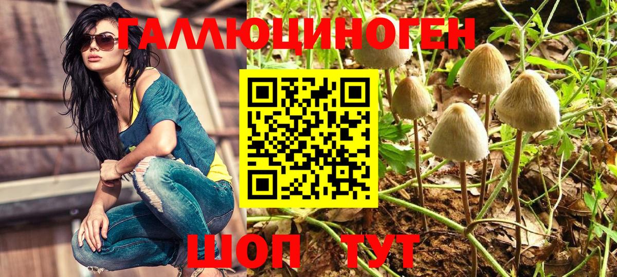 Галлюциногенные грибы мухоморы Дубна